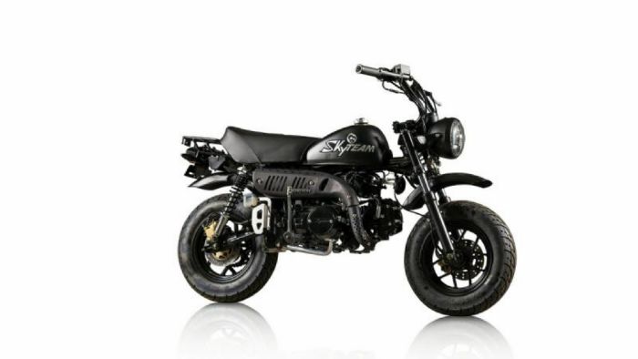 Skyteam-SkyMini-125_22720